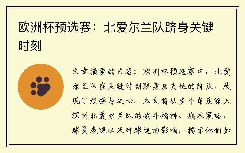 欧洲杯预选赛：北爱尔兰队跻身关键时刻