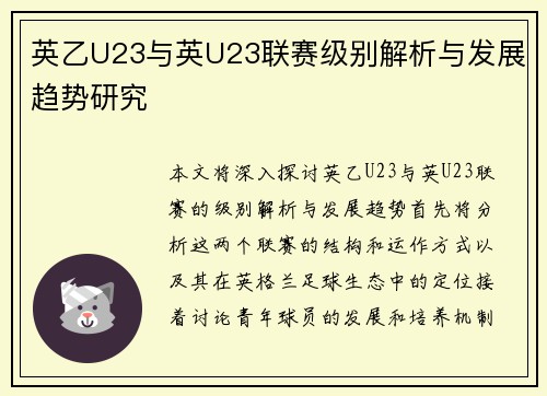 英乙U23与英U23联赛级别解析与发展趋势研究